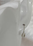 Earrings Sterling Silver Cowry Shell