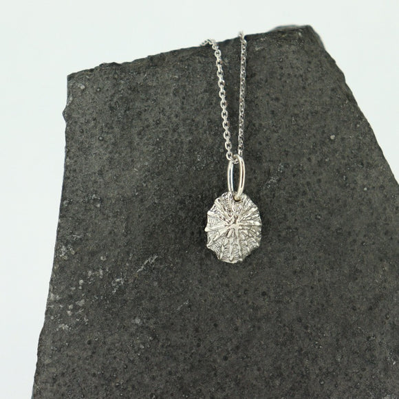 Pendant Sterling Silver Limpet Shell