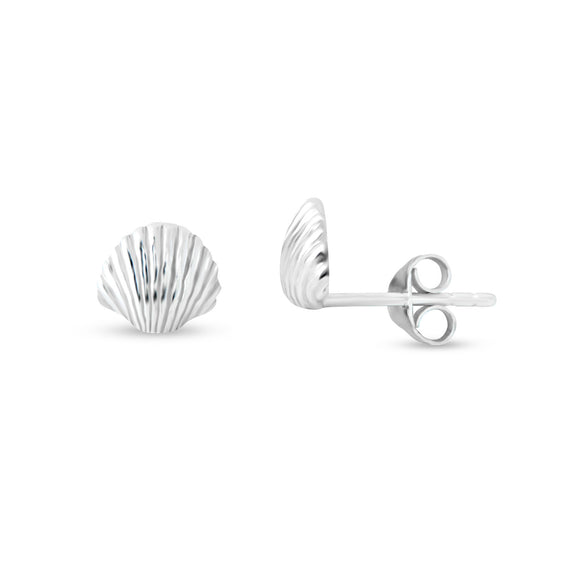 Studs Sterling Silver Shell Clam