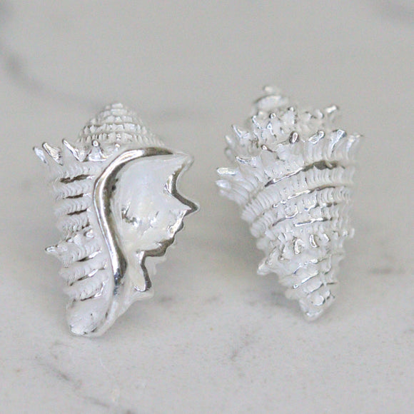 Studs Sterling Silver Conch Shell