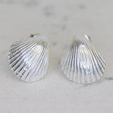 Studs Sterling Silver Clam Shell